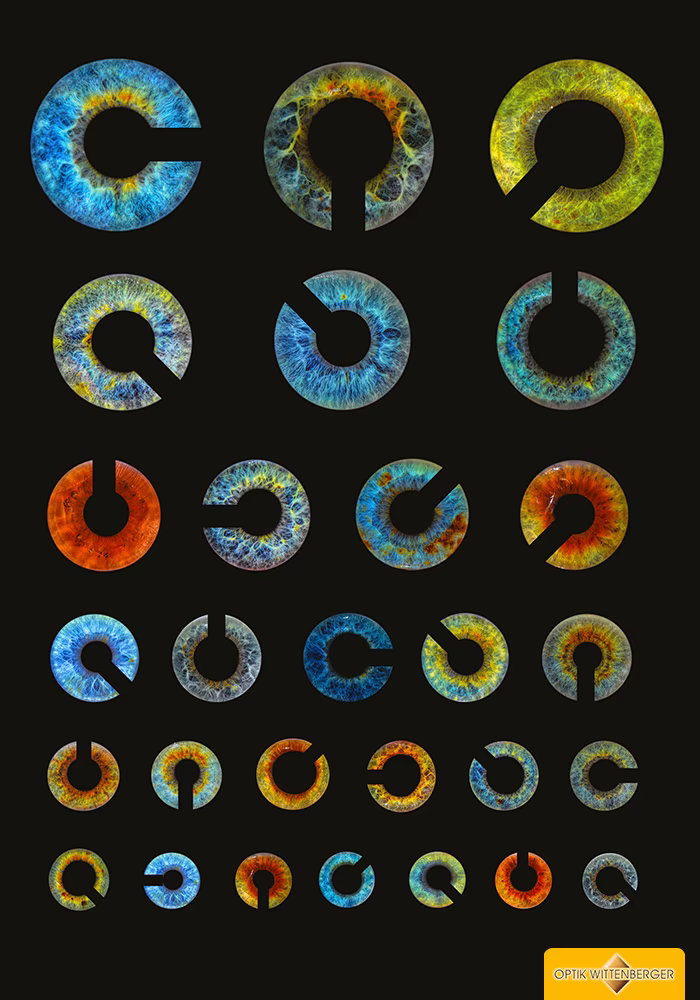 Poster für Découvrez la magie de la photographie de l'iris